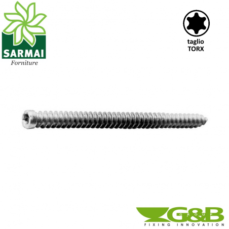 Viti autofilettanti GETO INFISSO testa cilindrica TORX 100 Pezzi + coprivite