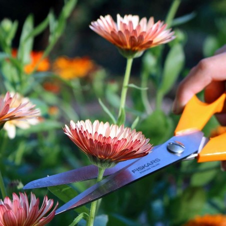 FISKARS S90 Forbice forbici multiuso da giardino cucina erbe potatura piante