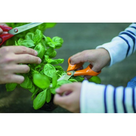 FISKARS S90 Forbice forbici multiuso da giardino cucina erbe potatura piante