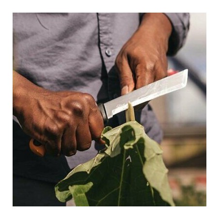 Fiskars K82 coltello per la raccolta verdure frutta a stelo duro lama 15 cm