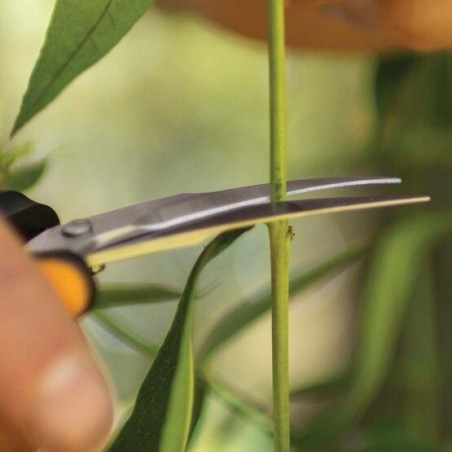 Fiskars SP160 Forbici per Fiori a Lame in Acciaio Inox Curve Lunghezza 17,1 cm
