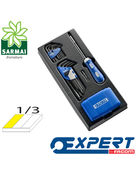 EXPERT E121105 MODULO AVVITATURA CRICCHETTO GIREVOLE INSERTI ESAGONALI E TORX