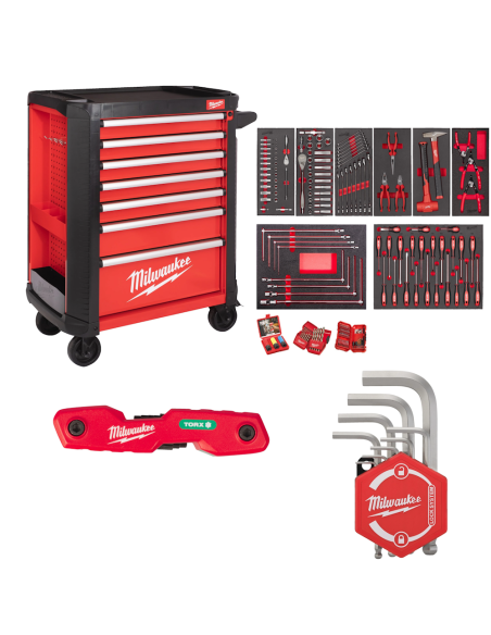 Carrello portautensili+Assortimento automotive+Set chiavi torx+Chiavi esagonali