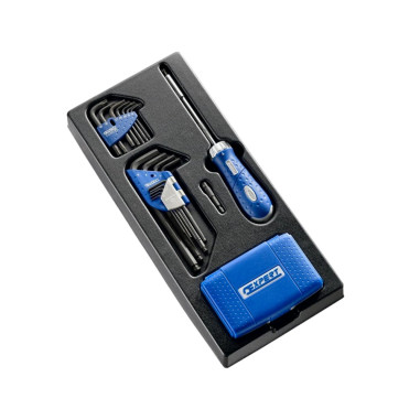 MODULO AVVITATURA CRICCHETTO GIREVOLE INSERTI ESAGONALI E TORX EXPERT