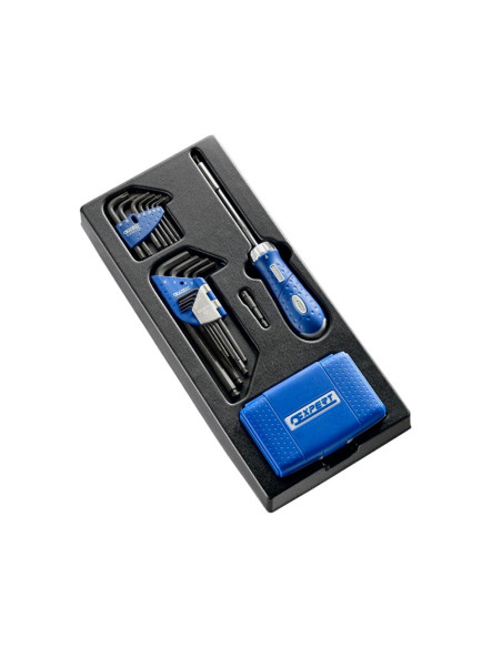 MODULO AVVITATURA CRICCHETTO GIREVOLE INSERTI ESAGONALI E TORX EXPERT