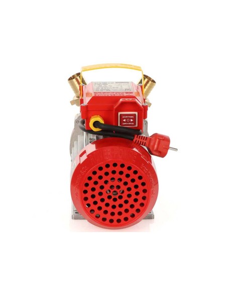 ELETTROPOMPA POMPA TRAVASO ELETTRICA ROVER BE-M 30 TURBO LIQUIDI LEGA E BRONZO