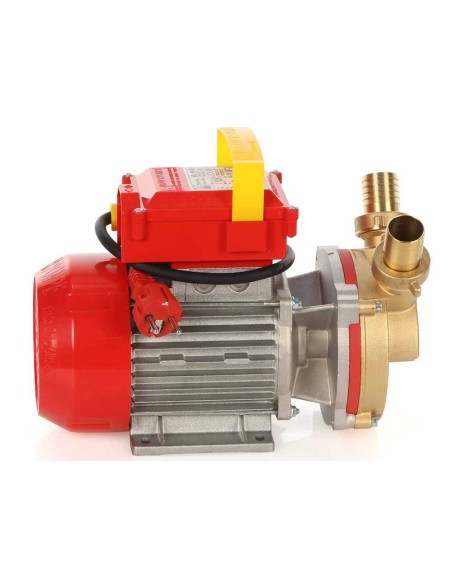 ELETTROPOMPA POMPA TRAVASO ELETTRICA ROVER BE-M 30 TURBO LIQUIDI LEGA E BRONZO