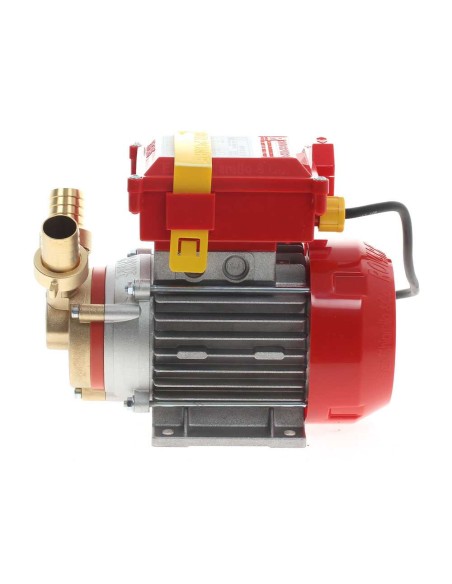 ELETTROPOMPA POMPA TRAVASO ELETTRICA ROVER 25 CE VINO LIQUIDI IN LEGA E BRONZO