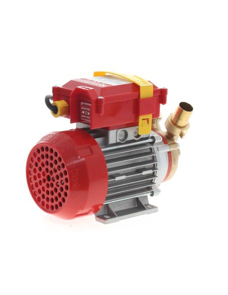 ELETTROPOMPA POMPA TRAVASO ELETTRICA ROVER 25 CE VINO LIQUIDI IN LEGA E BRONZO