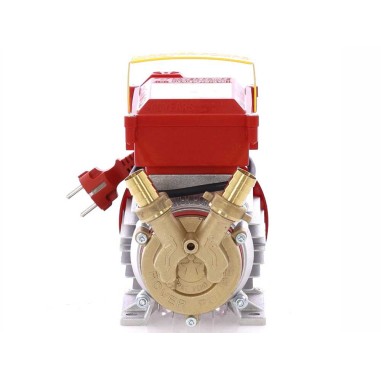 ELETTROPOMPA POMPA TRAVASO ELETTRICA ROVER 20 CE VINO LIQUIDI IN LEGA E BRONZO