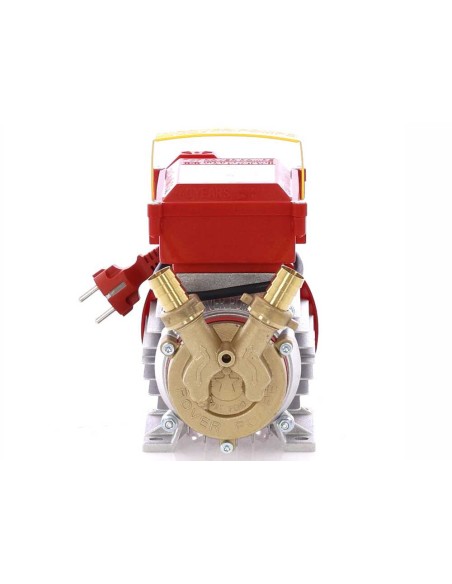 ELETTROPOMPA POMPA TRAVASO ELETTRICA ROVER 20 CE VINO LIQUIDI IN LEGA E BRONZO