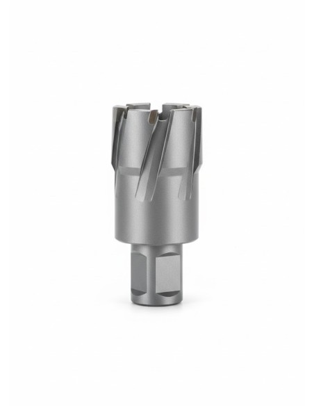 Fresa a Carotare TCT Serie Corta Ø 12‑60 mm Taglienti in Carburo Weldon