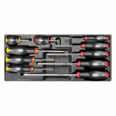 USAG Modulo Termoformato 10 Giraviti 519/324H Intaglio PHILLIPS Professionale