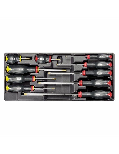 USAG Modulo Termoformato 10 Giraviti 519/324H Intaglio PHILLIPS Professionale