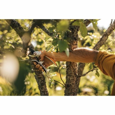 FISKARS P751 forbici da potatura Bypass Plus in acciaio temprato