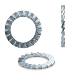 Rondella Dentatura Esterna DIN 6798 A 350 HV Zincato Bianco in Acciaio M3-M20