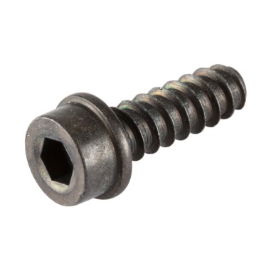 Husqvarna 503214972 Vite IHSCFT PW5.5x16 8.8 Zn/Fe Originale Conf. 10 pz