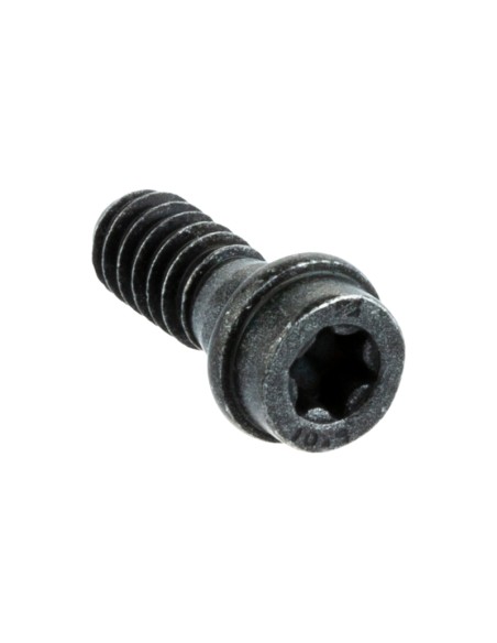 Husqvarna 525798101 Vite ITXSCFT PL6x16 T27 10.9 Zn/Fe OEM 545 550 560 562 XP