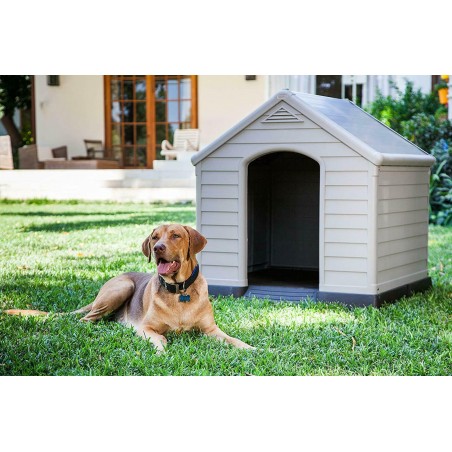 CURVER Cuccia casetta per cane cani di taglia media/grande 99 x 99 x 95 cm fondo rialzato