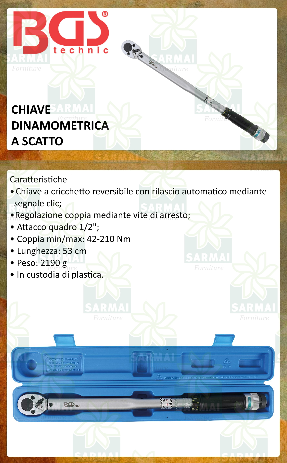 DESCRIZIONE BGS 965