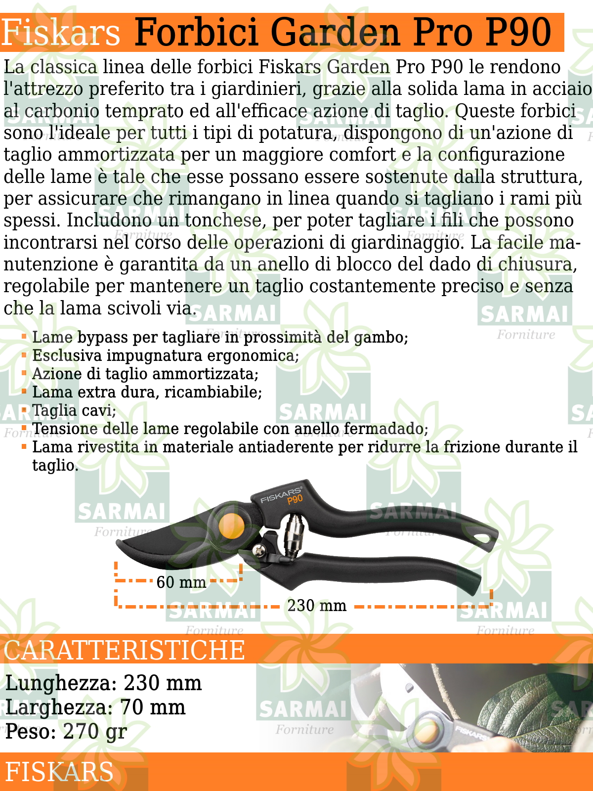 DESCRIZIONE