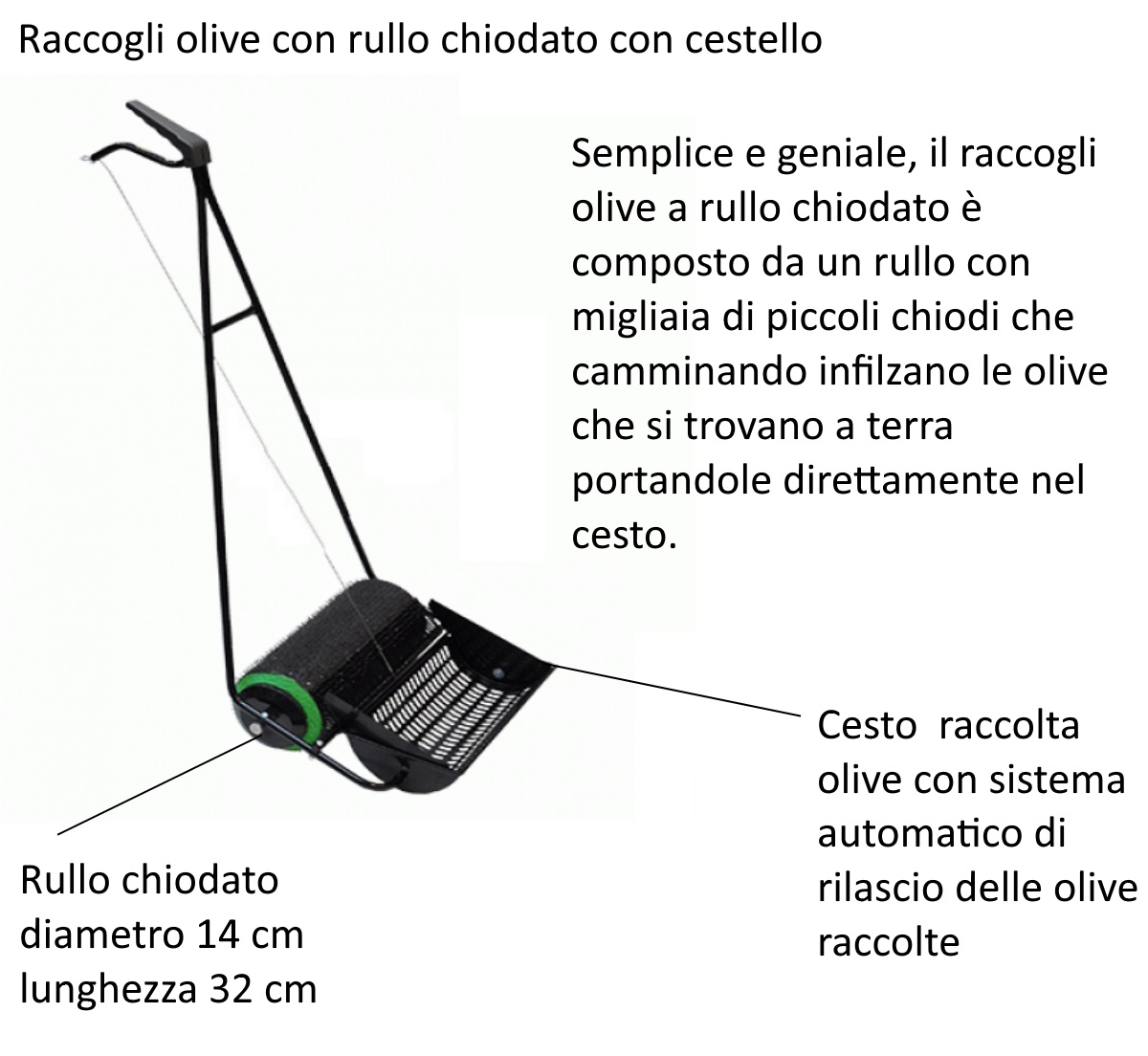 RULLO CHIODATO 35