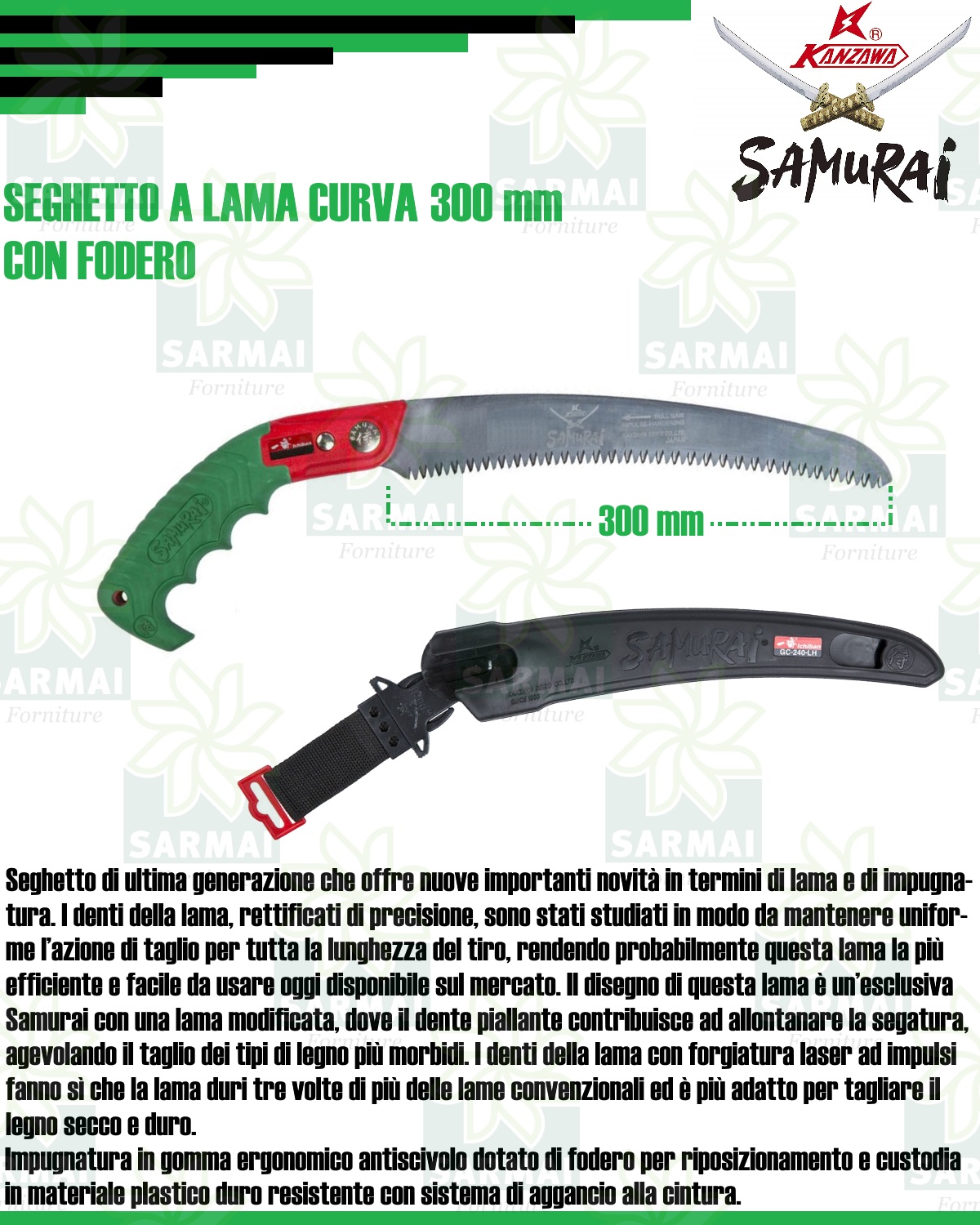 DESCRIZIONE SEGHETTO