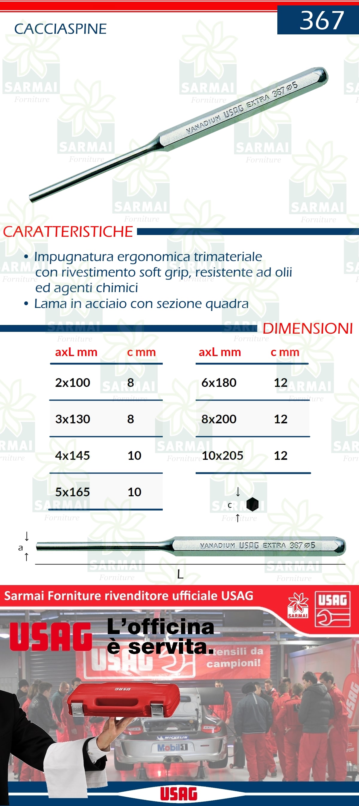 DESCRIZIONE CACCIASPINE